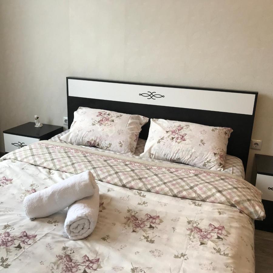 ホテル Friendly House アハルツィヘ エクステリア 写真